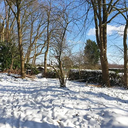 Bed & Breakfast Benb Op De Vleet 4*