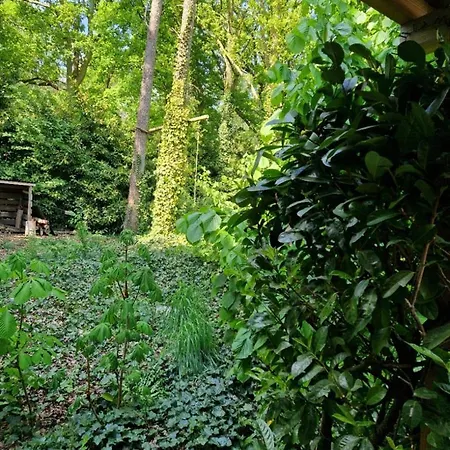 Bed & Breakfast Benb Op De Vleet