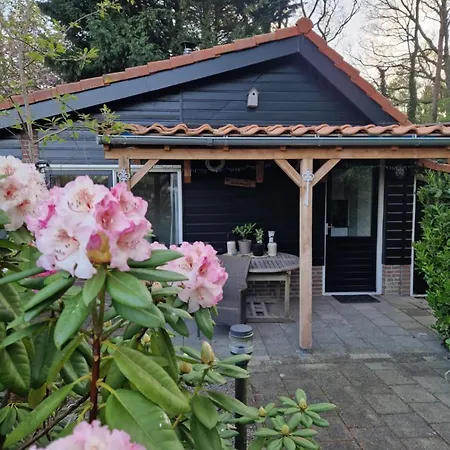Couette-café Benb Op De Vleet Vrijstaande 4*
