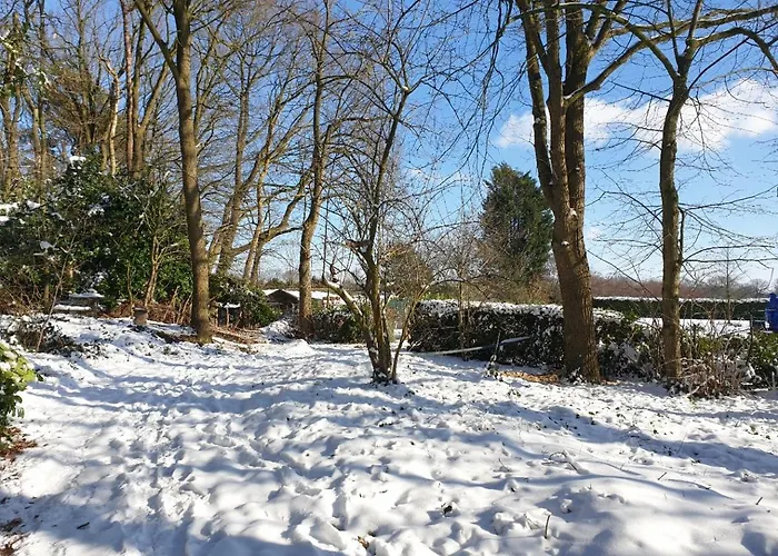 Bed & Breakfast Benb Op De Vleet 4*